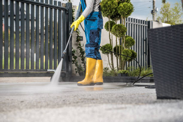 Best Roof Washing  in Magnolia, MS